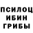 Псилоцибиновые грибы прущие грибы REO XID