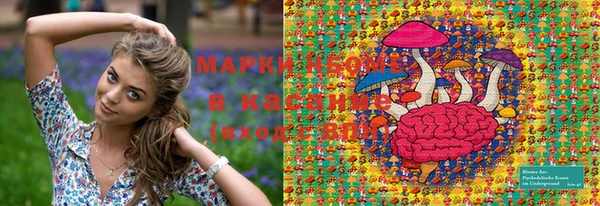ПСИЛОЦИБИНОВЫЕ ГРИБЫ Алексин