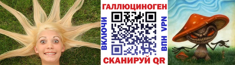Псилоцибиновые грибы ЛСД  kraken ССЫЛКА  Октябрьский 